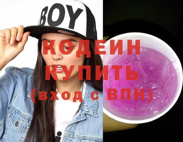 индика Горно-Алтайск