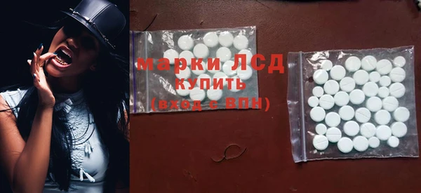 индика Горно-Алтайск