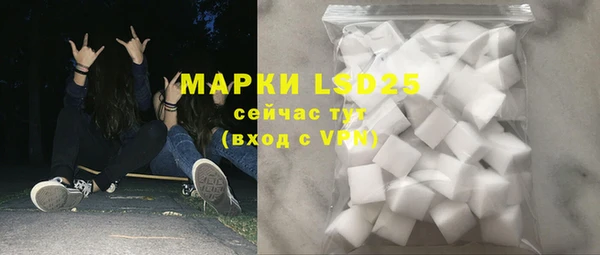индика Горно-Алтайск