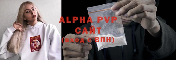 индика Горно-Алтайск