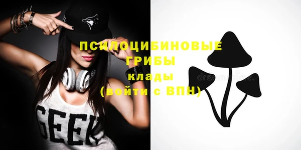прущая мука Горняк
