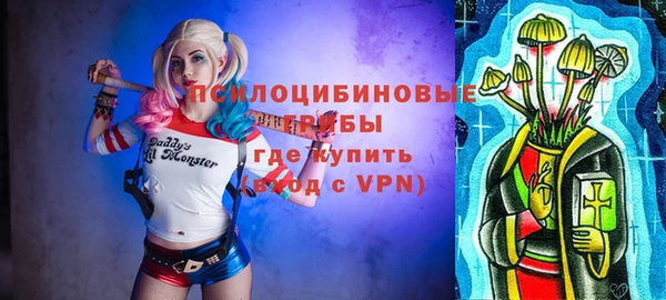 индика Горно-Алтайск