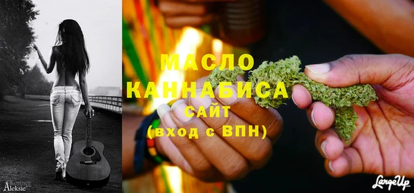 индика Горно-Алтайск