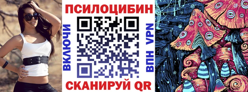 Псилоцибиновые грибы Cubensis Малаховка
