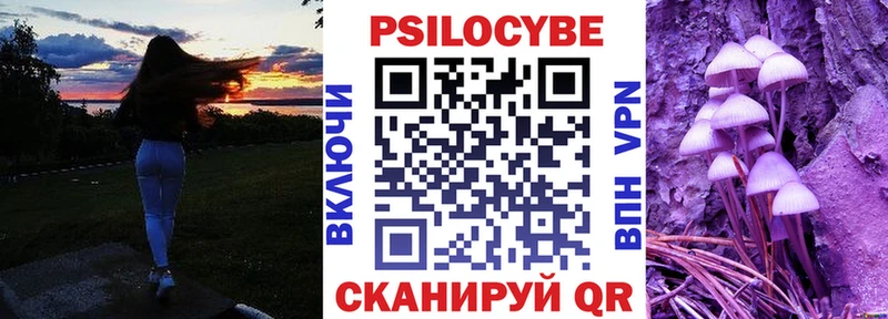 где найти   Малаховка  Галлюциногенные грибы MAGIC MUSHROOMS 