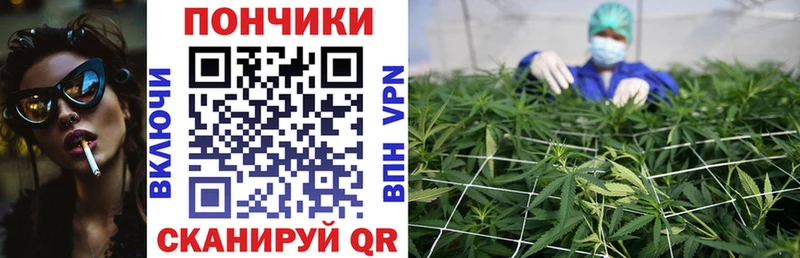 Шишки марихуана сатива  Малаховка 